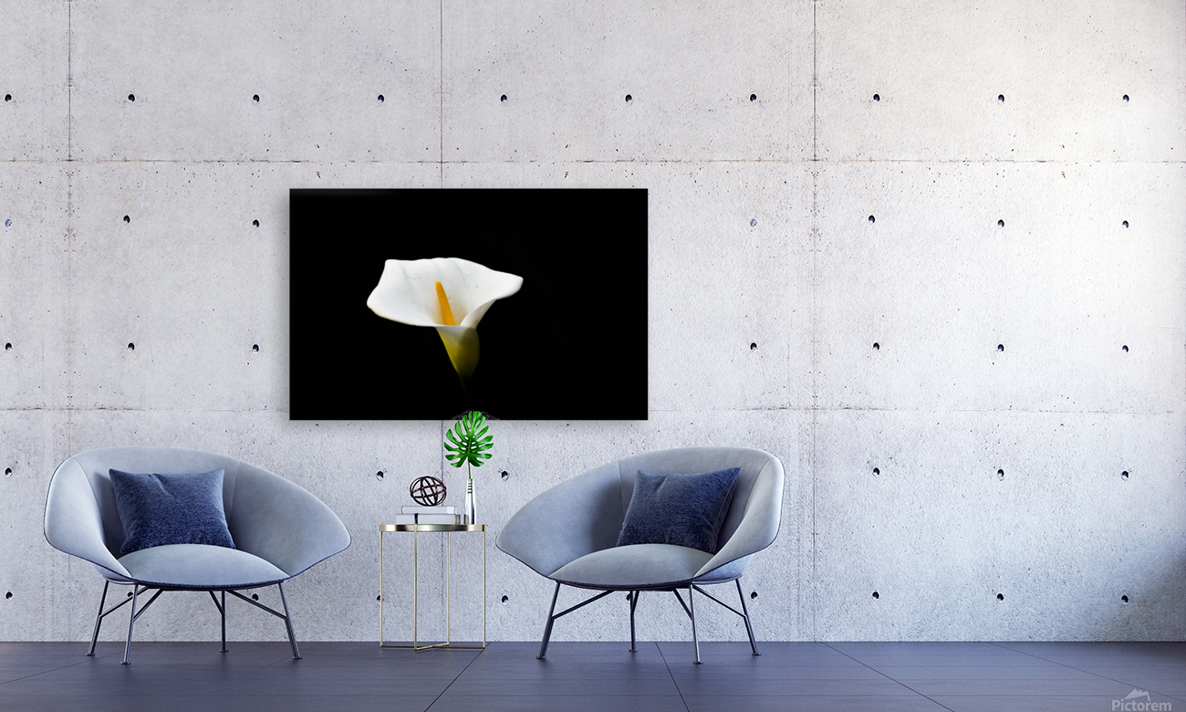 Light from Darkness  Reproduction