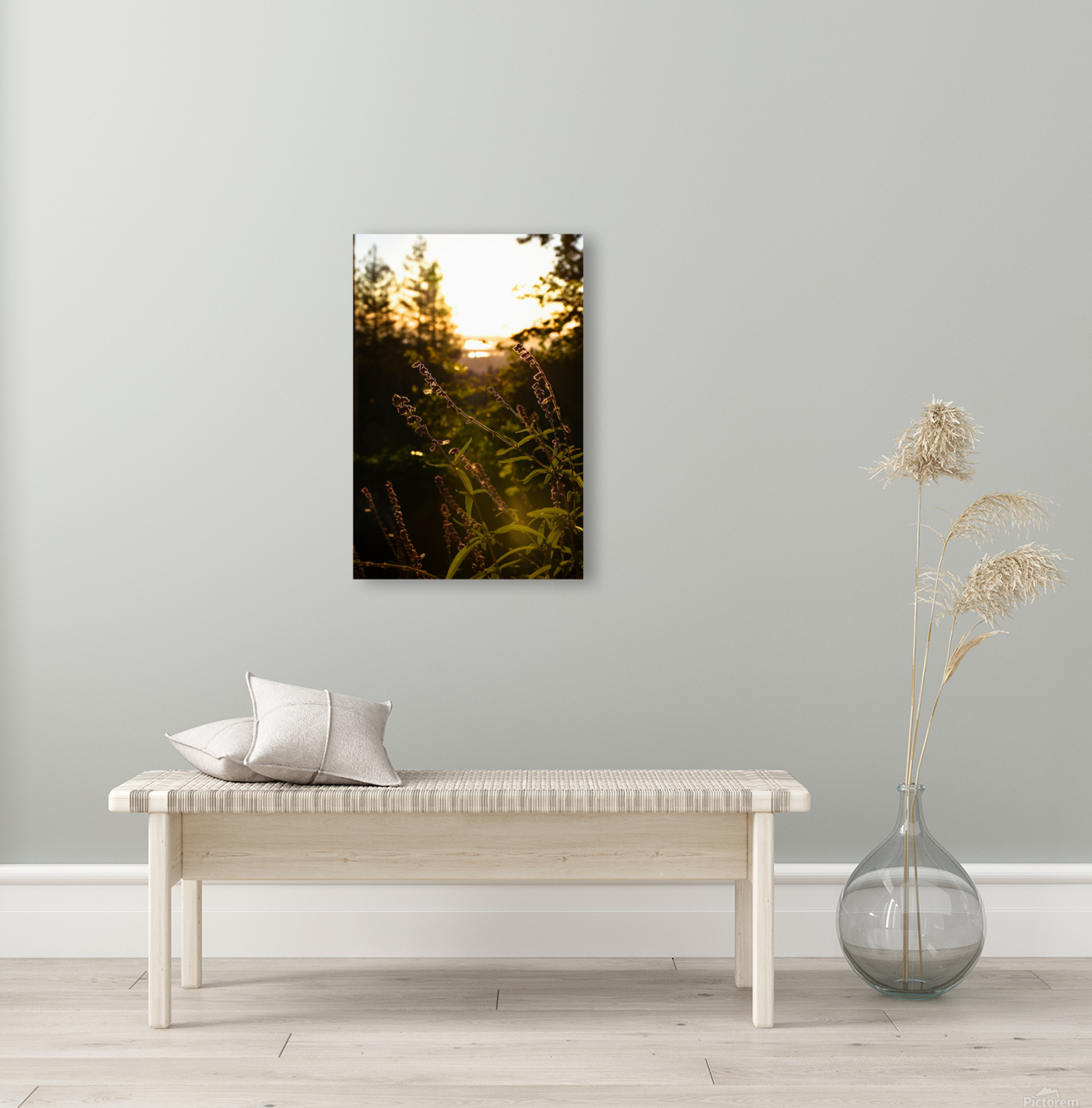 Serenity  Reproduction