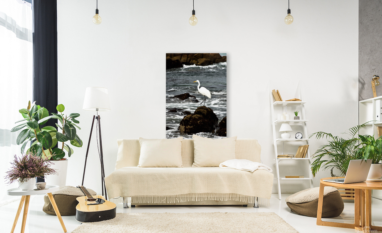 Tranquility  Reproduction
