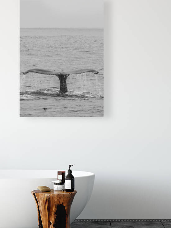  Humpback Fluke by Rhea Mechem