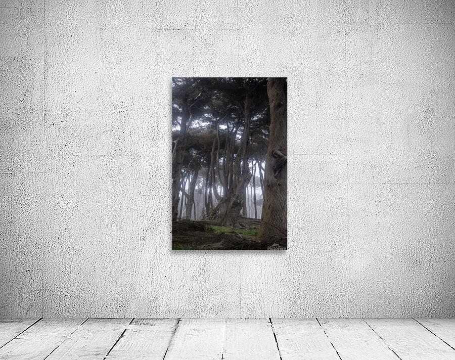 Fogs Embrace Wall Preview