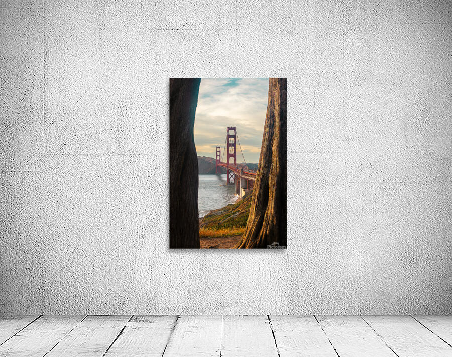 Through Natures Frame Wall Preview