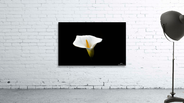 Light from Darkness  Wall Preview