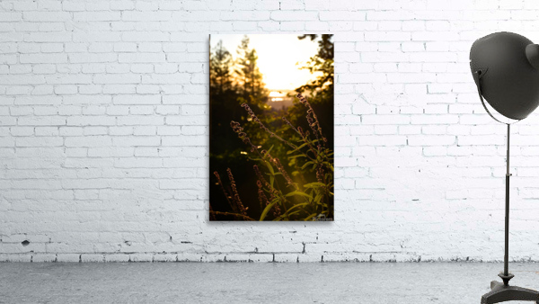 Serenity  Wall Preview