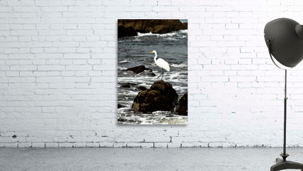 Tranquility  Wall Preview