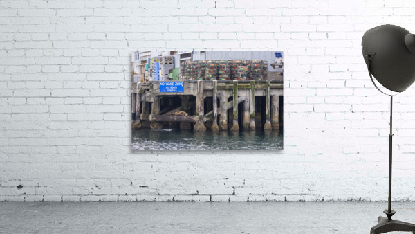 Peaceful Mornings Wall Preview