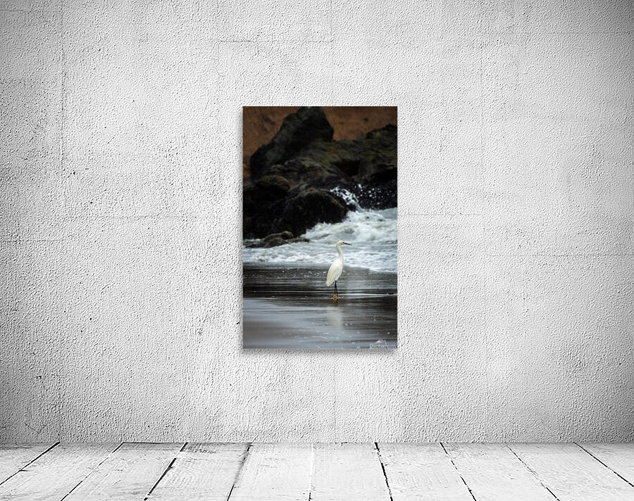 Sea Gazing Wall Preview