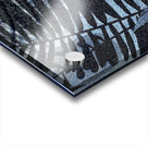 Frosted Fern Acrylic print