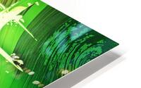 Rainforest HD Metal print