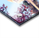 Beautiful early morning Jefferson Memorial Acrylic print