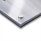 Single Gentoo penguin on Falklands walking to ocean Impression Acrylique