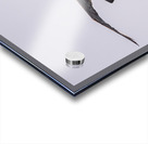 Southern giant petrel flying alongside cruise ship in South Atla Acrylic print