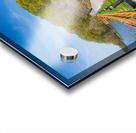 Pathway to spring leaves in Cheat Lake Morgantown WV Impression Acrylique