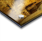 Geologic formations of stalactites and stalagmites in Texas cave Acrylic print