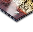 Dramatic sunset over Legacy Hills Park lake with details of tree Acrylic print