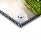 Verdant taro fields thrive under the Hawaiian sun near Hanalei B Impression Acrylique