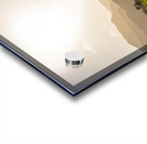 Verdant taro fields thrive under the Hawaiian sun near Hanalei B Acrylic print