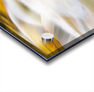 Valley Falls State Park Waterfall in West Virginia Acrylic print