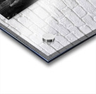 Large cypress trees in Cypress Bend Park by the side of Guadalup Acrylic print