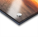 Bats Flying Overhead - Crowd on Congress Avenue bridge Impression Acrylique