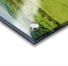 Pair of old hiking boots turned into plant pots with hill walkin Impression Acrylique