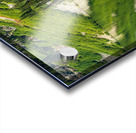 Mirror image reflection of Rainy Lake in North Cascades National Acrylic print