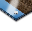 Great Pyramid of Giza with the sun flaring over the top edge Acrylic print