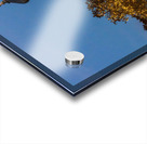 Sunset behind the Old Masonic Lodge in Georgetown Texas Acrylic print