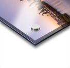 Lady Bird Lake view of Austin Skyline in 2026 Acrylic print