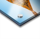 Perfect reflection of autumn leaves in Cheat Lake Acrylic print