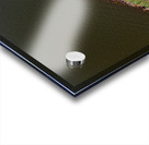 Aerial view of the lake and trail at Cheat Lake Park Acrylic print