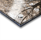 Blossoms by the steel girder bridge carries the bike walking trail Impression Acrylique