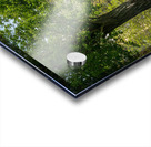 Mansion museum at Oglebay resort near Wheeling WV Acrylic print