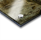 Pathway in Audra State Park near Buckhannon in West Virginia Acrylic print