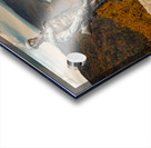 Mountaineer statue from WVU with fall leaves in West Virginia Impression Acrylique