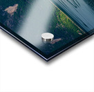 Our Lady of the Rocks Impression Acrylique