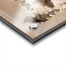 Detail of rain water spout in Dubrovnik old town Acrylic print