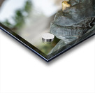 Statue of bust of Lawrence Durrell in Corfu Impression Acrylique