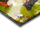 Grapes for port wine by the River Douro Acrylic print