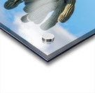 Crested Saguaro in National Park West Acrylic print