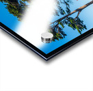 Golden Gate Bridge in San Francisco Impression Acrylique