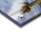 Sunset in Saguaro National Park Tucson Impression Acrylique