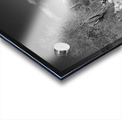 The road goes on for ever Acrylic print