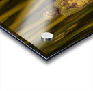 Buddha statue in bamboo forest Impression Acrylique