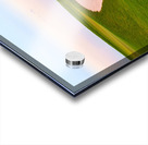 Heart shaped sand bunker in front of golf green Impression Acrylique