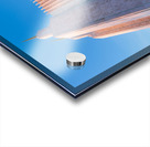 Mormon temple in Washington DC in late winter Acrylic print