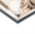 St Peters Parish Church Vienna Acrylic print