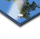 Old Cedar tree at Appomattox National Park Acrylic print