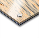 Great white egret in the sea off Tampa in Gulf Acrylic print