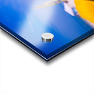 Madiera Beach and sea oats in Florida Impression Acrylique